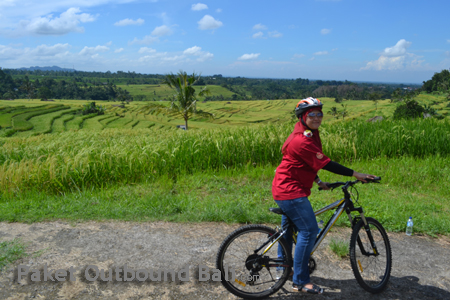 jatiluwih bali cycling rice terrace